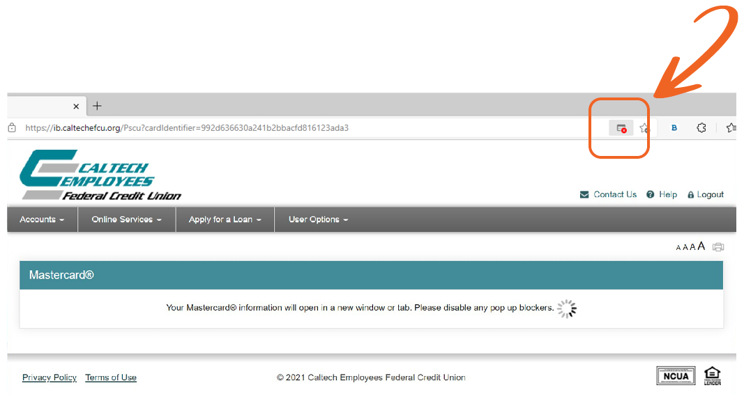 screenshot of Chrome browser window