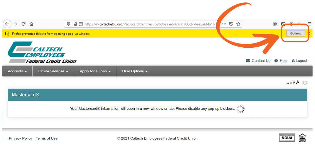screenshot of Firefox browser window