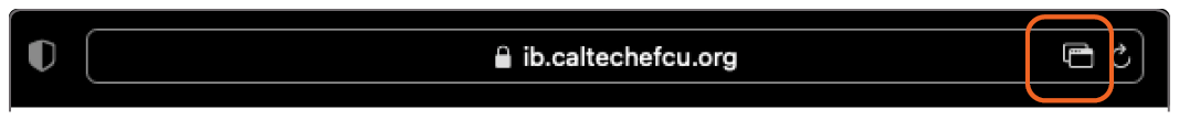 screenshot of Location bar in Safari browser window
